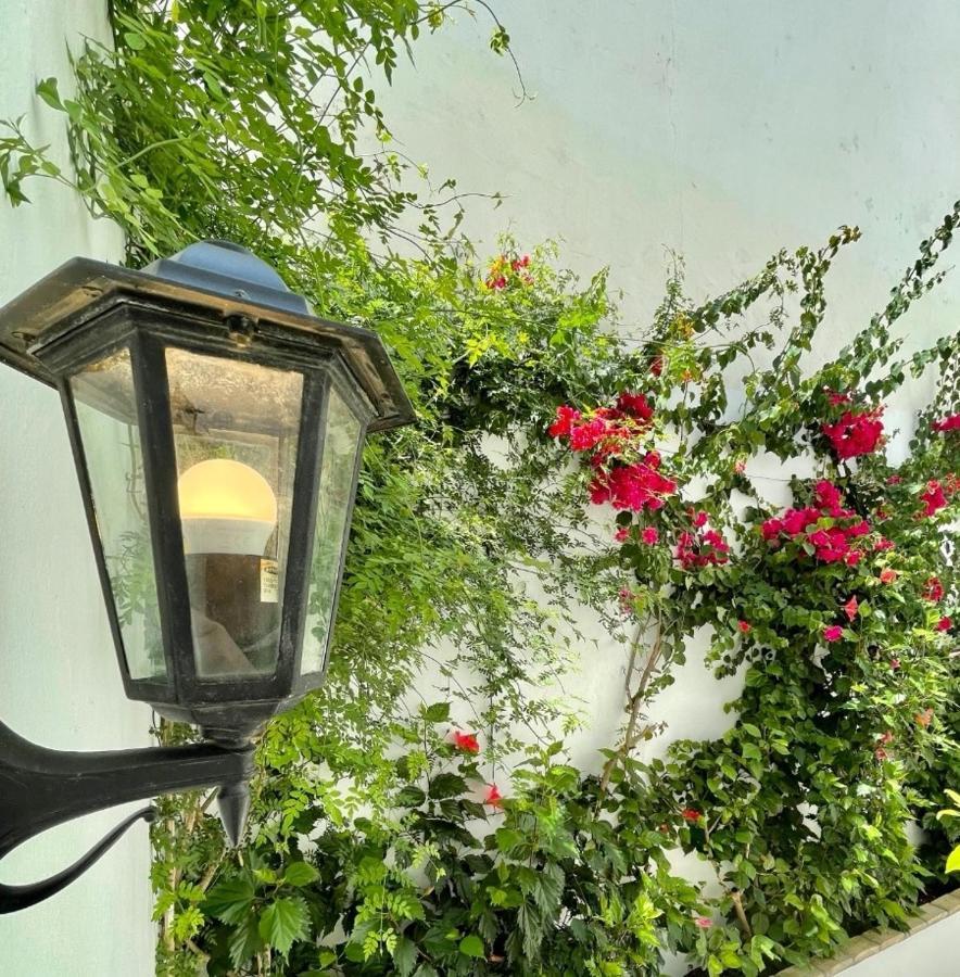 Gatu Premium Apartamento Palacio Oneto Con Jardin Privado " Preferente Mayores De 25 Anos Y Familias " El Puerto de Santa María Exterior foto